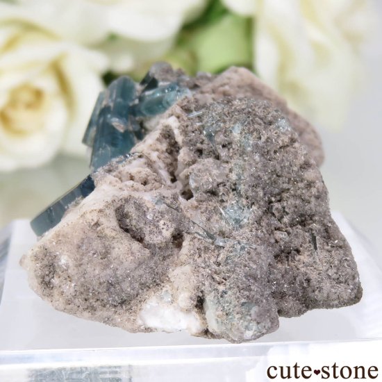 ե˥ Dara-i-Pech ֥롼ȥޥդ No.15μ̿2 cute stone
