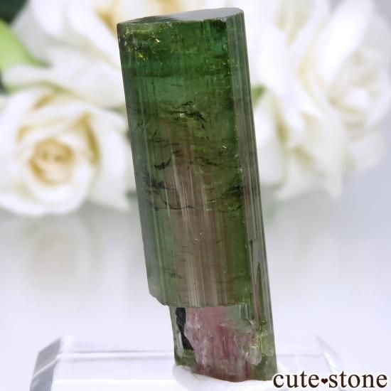 ֥饸 Coronel Murta ȥޥθ No.1μ̿0 cute stone