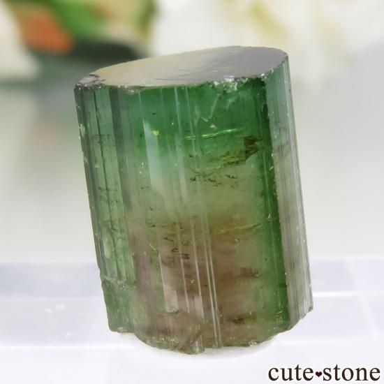 ★ウォーターメロントルマリン 13.2ミリビーズ(SA) ウォーターメロントルマリン 2pc 14.92ct kg-0134 | kuugem