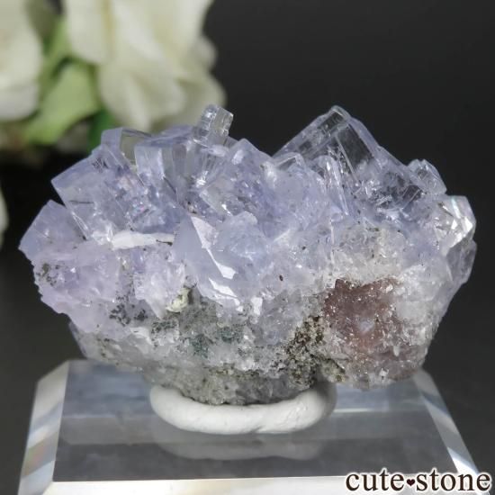 ڥ Emilio Mine ե饤Ȥդ No.7μ̿1 cute stone