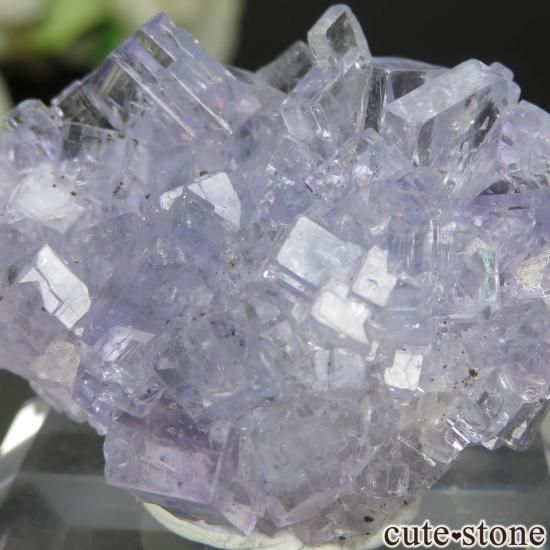 ڥ Emilio Mine ե饤Ȥդ No.7μ̿3 cute stone