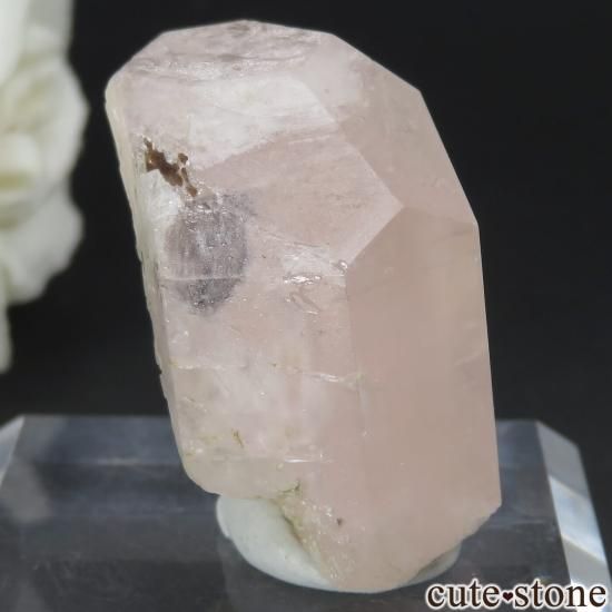 ֥饸 Aracuai 륬ʥȤθ No.1μ̿0 cute stone