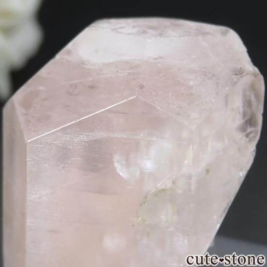 ֥饸 Aracuai 륬ʥȤθ No.1μ̿3 cute stone