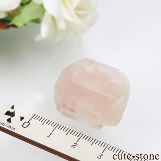 ֥饸 Aracuai 륬ʥȤθ No.1μ̿4 cute stone