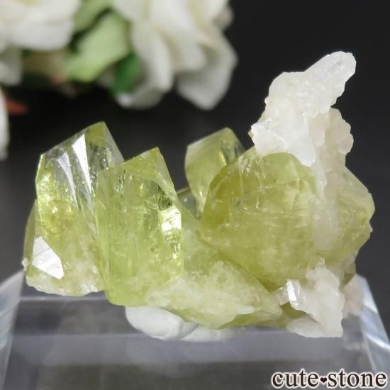 ֥饸 Linopolis ֥饸ꥢʥȡХȤθ No.6μ̿1 cute stone