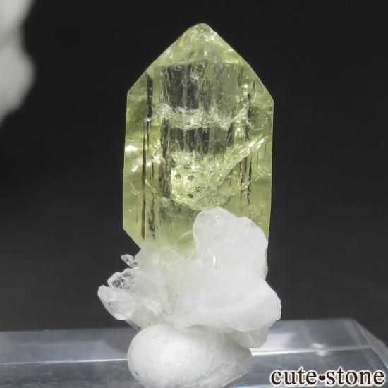 ֥饸 Linopolis ֥饸ꥢʥȡХȤθ No.8μ̿1 cute stone