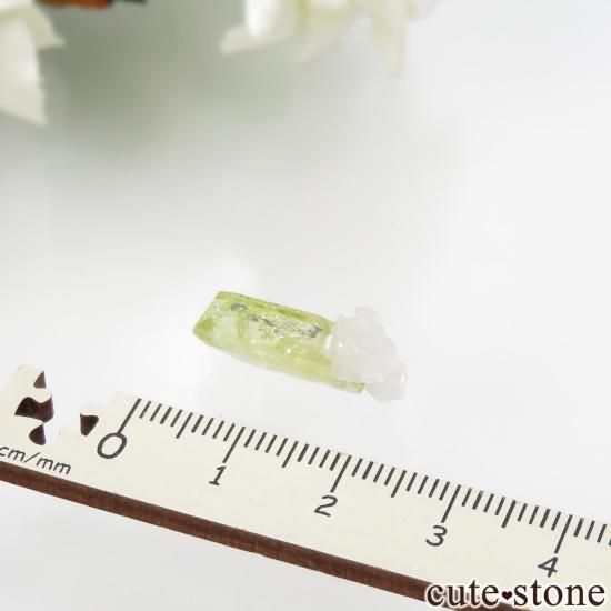 ֥饸 Linopolis ֥饸ꥢʥȡХȤθ No.8μ̿3 cute stone