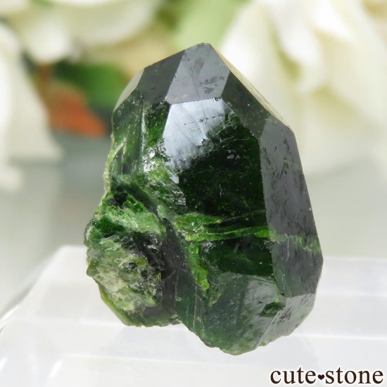  Belqeys MountainΥǥޥȥɥͥåȤθ No.7μ̿0 cute stone