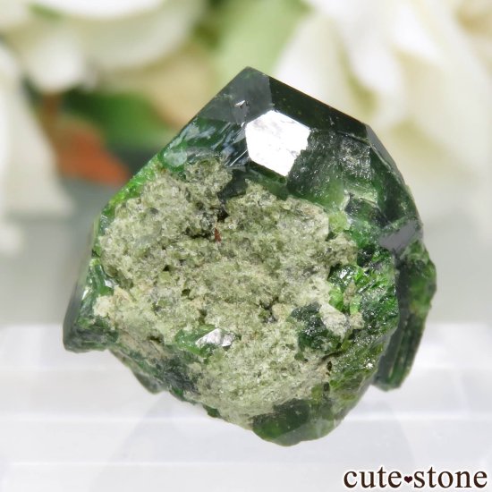  Belqeys MountainΥǥޥȥɥͥåȤθ No.7μ̿1 cute stone