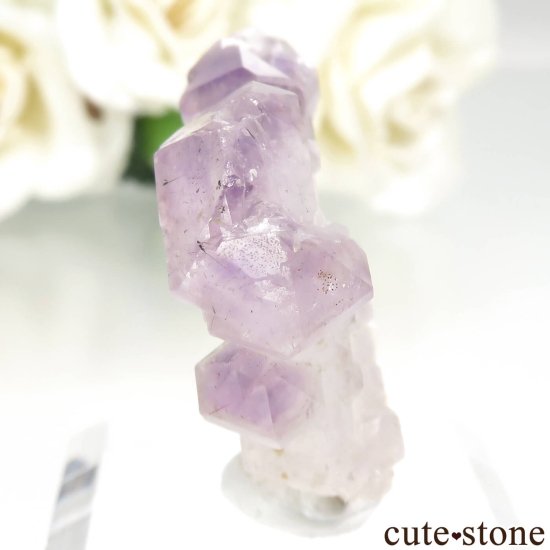 ޥ뻺 ᥸ȡܼоץġˤθ No.2μ̿0 cute stone