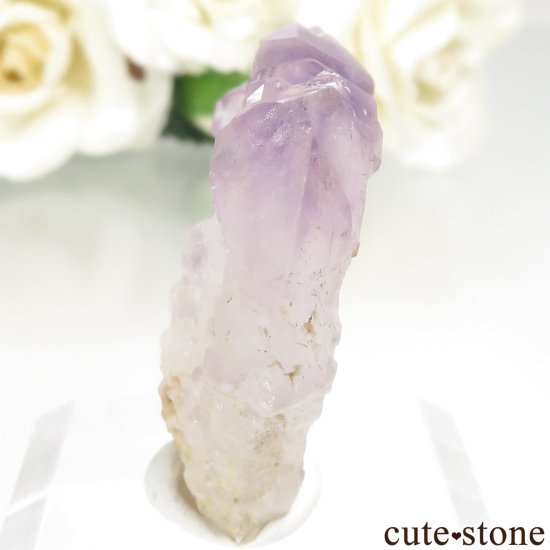 ޥ뻺 ᥸ȡܼоץġˤθ No.2μ̿2 cute stone