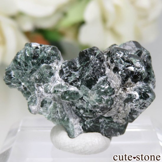 Х֥ Novello Mine 쥭ɥ饤ȡʥ꥽٥ˤθ No.1μ̿1 cute stone