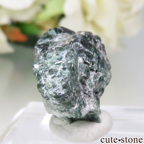 Х֥ Novello Mine 쥭ɥ饤ȡʥ꥽٥ˤθ No.1μ̿2 cute stone
