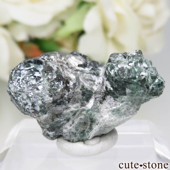 Х֥ Novello Mine 쥭ɥ饤ȡʥ꥽٥ˤθ No.1μ̿3 cute stone