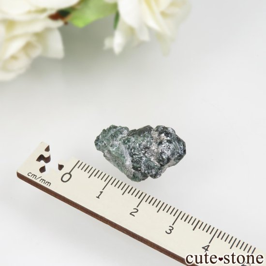 Х֥ Novello Mine 쥭ɥ饤ȡʥ꥽٥ˤθ No.1μ̿5 cute stone