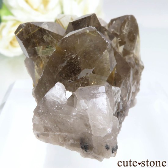 ֥饸 Х Novo Horizonte 륤󥯥Ĥθ No.10μ̿0 cute stone