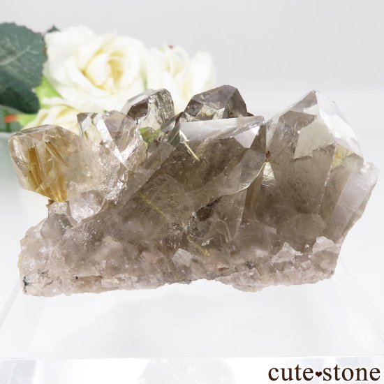 ֥饸 Х Novo Horizonte 륤󥯥Ĥθ No.10μ̿1 cute stone