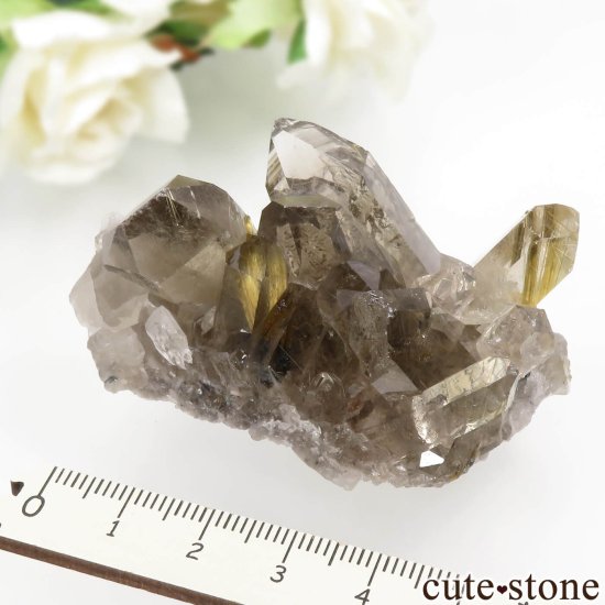 ֥饸 Х Novo Horizonte 륤󥯥Ĥθ No.10μ̿5 cute stone
