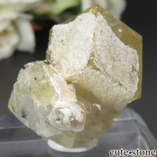 å Mibladen ե饤ȡĤθ No.1μ̿1 cute stone