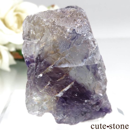 ٥륮 Seilles ֥롼ߥѡץե饤ȡʥå󥰡ˤθ No.1μ̿0 cute stone