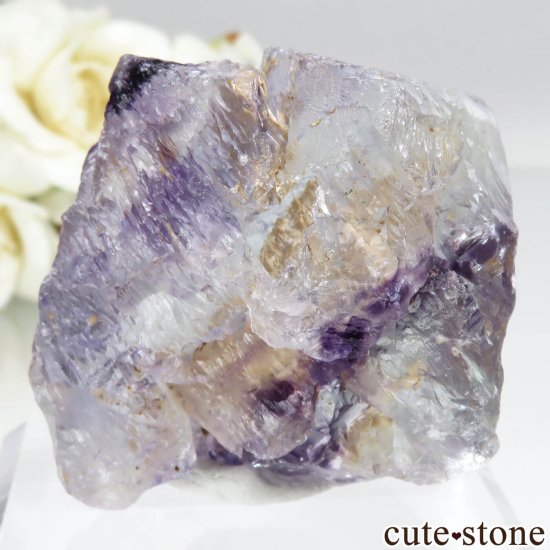 ٥륮 Seilles ֥롼ߥѡץե饤ȡʥå󥰡ˤθ No.1μ̿1 cute stone