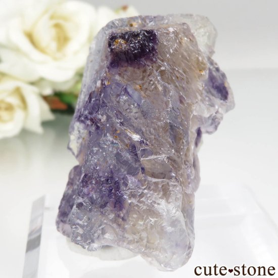 ٥륮 Seilles ֥롼ߥѡץե饤ȡʥå󥰡ˤθ No.1μ̿2 cute stone