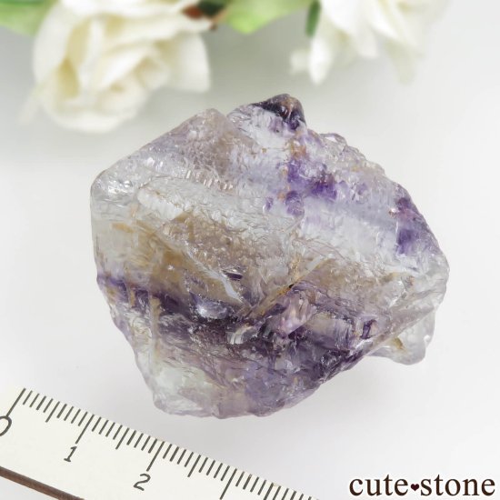 ٥륮 Seilles ֥롼ߥѡץե饤ȡʥå󥰡ˤθ No.1μ̿5 cute stone