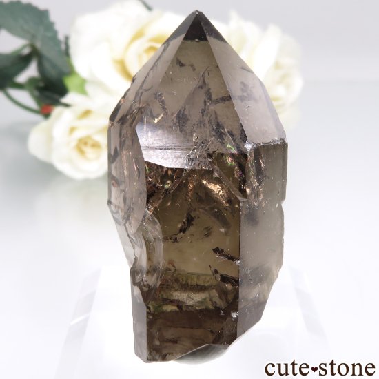フランス モンブラン産（アルプス） スモーキークォーツ（水晶） No.1 - cute stone -