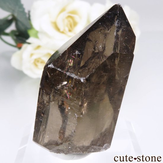 フランス モンブラン産（アルプス） スモーキークォーツ（水晶） No.1 - cute stone -