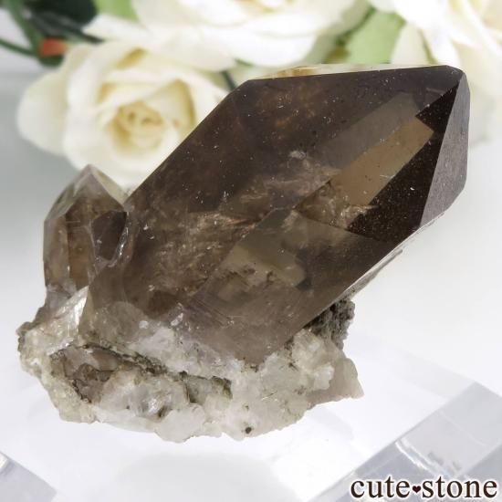 スモーキークォーツ　フランス産 フランス産スモーキークォーツ | 鉱物標本,カ行,クォーツ/水晶
