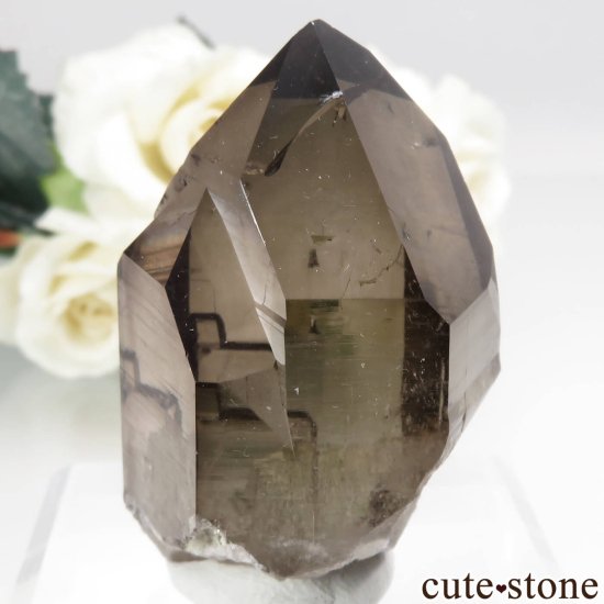フランス モンブラン産（アルプス） スモーキークォーツ（水晶） No.3 - cute stone -