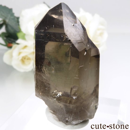 ե ֥󻺡ʥץ ⡼ġʿ徽 No.3μ̿0 cute stone