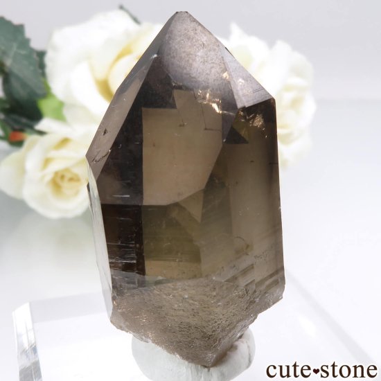 ե ֥󻺡ʥץ ⡼ġʿ徽 No.3μ̿1 cute stone