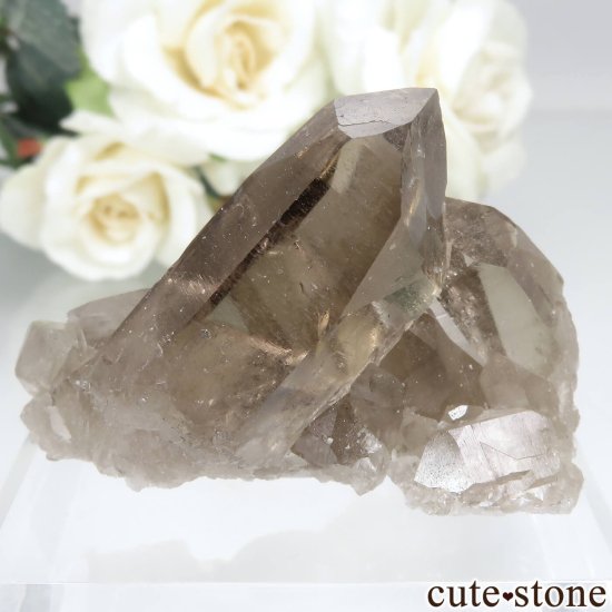 フランス モンブラン産（アルプス） スモーキークォーツ（水晶） No.4 - cute stone -
