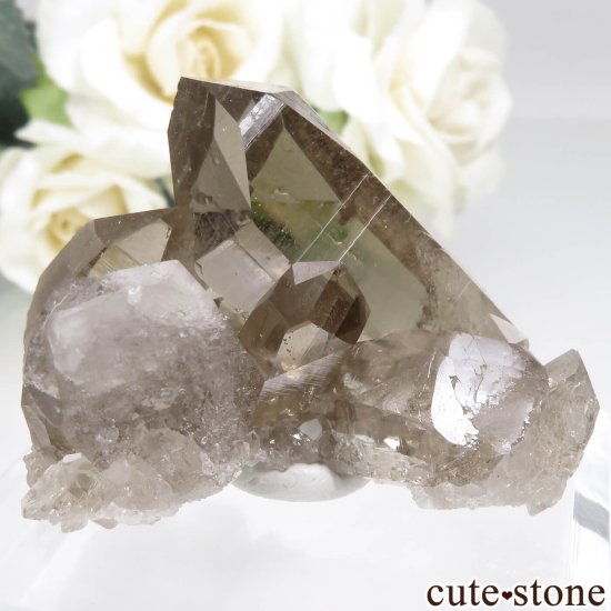 ե ֥󻺡ʥץ ⡼ġʿ徽 No.4μ̿0 cute stone
