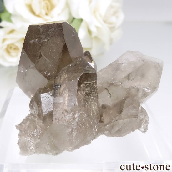 ե ֥󻺡ʥץ ⡼ġʿ徽 No.4μ̿1 cute stone