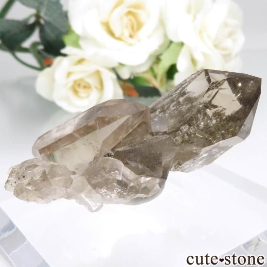 ե ֥󻺡ʥץ ⡼ġʿ徽 No.5μ̿1 cute stone