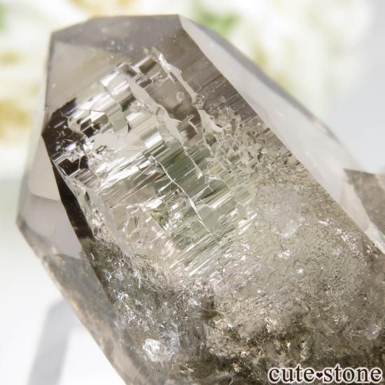 フランス モンブラン産（アルプス） スモーキークォーツ（水晶
