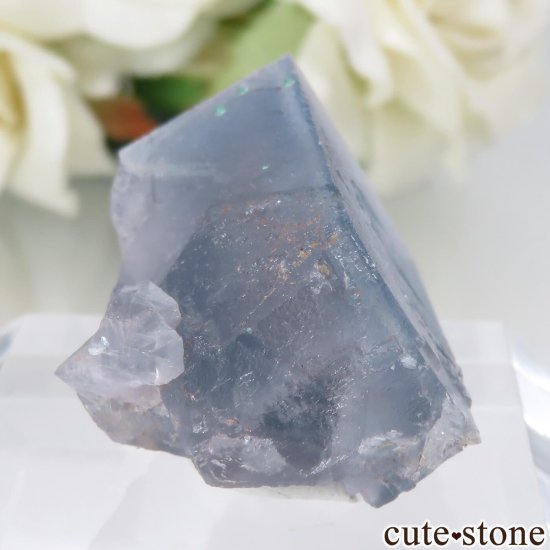 ɥ Clara Mine ֥롼ե饤ȡޥ饫Ȥθ No.1μ̿0 cute stone
