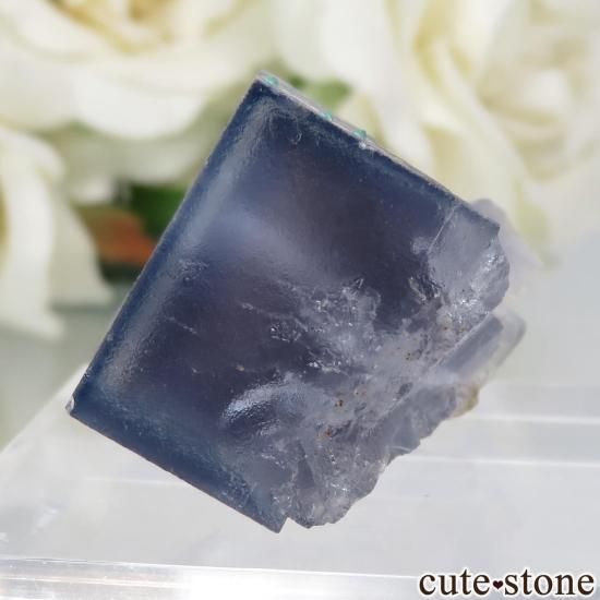 ɥ Clara Mine ֥롼ե饤ȡޥ饫Ȥθ No.1μ̿2 cute stone