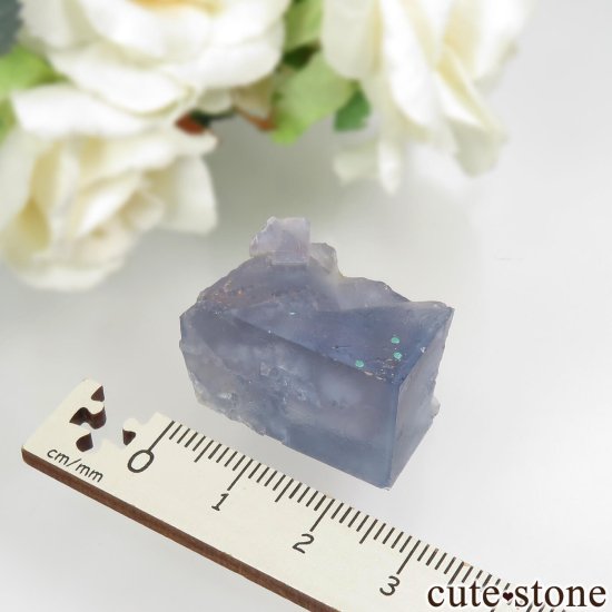 ɥ Clara Mine ֥롼ե饤ȡޥ饫Ȥθ No.1μ̿5 cute stone