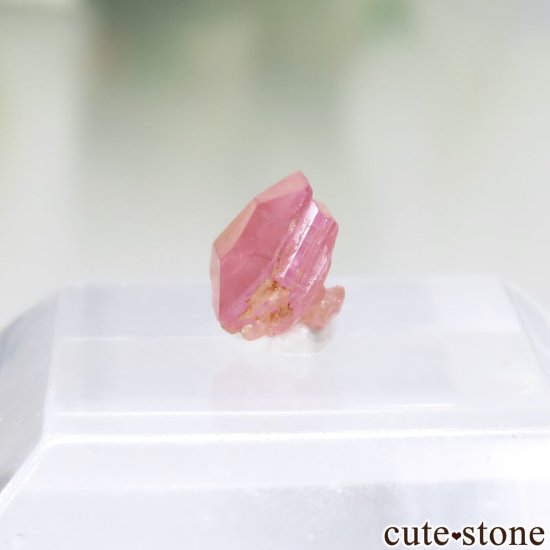 ڥĥåȡʥ饺٥ˤθ No.6μ̿2 cute stone