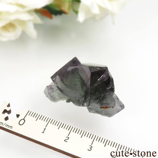 ǥʥ٥ Purple Rain Pocket ե饤Ȥθ No.13μ̿3 cute stone