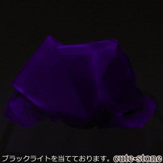 ǥʥ٥ Purple Rain Pocket ե饤Ȥθ No.13μ̿4 cute stone