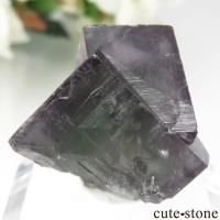 ǥʥ٥ Purple Rain Pocket ե饤Ȥθ No.14β