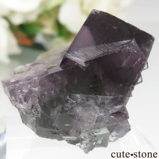 ǥʥ٥ Purple Rain Pocket ե饤Ȥθ No.15μ̿1 cute stone