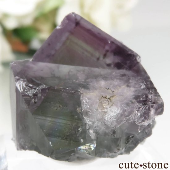 ǥʥ٥ Purple Rain Pocket ե饤Ȥθ No.15μ̿2 cute stone