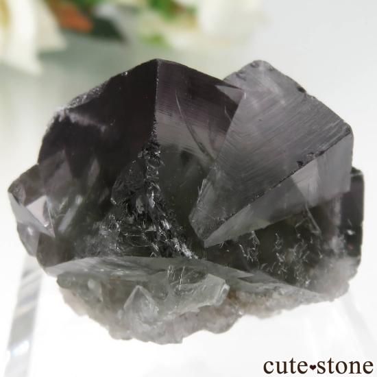 ǥʥ٥ Purple Rain Pocket ե饤Ȥθ No.16μ̿1 cute stone