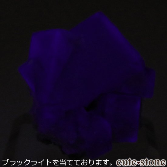 ǥʥ٥ Purple Rain Pocket ե饤Ȥθ No.16μ̿4 cute stone