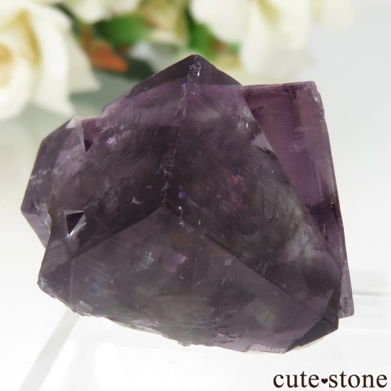 ǥʥ٥ Purple Rain Pocket ե饤Ȥθ No.17μ̿0 cute stone